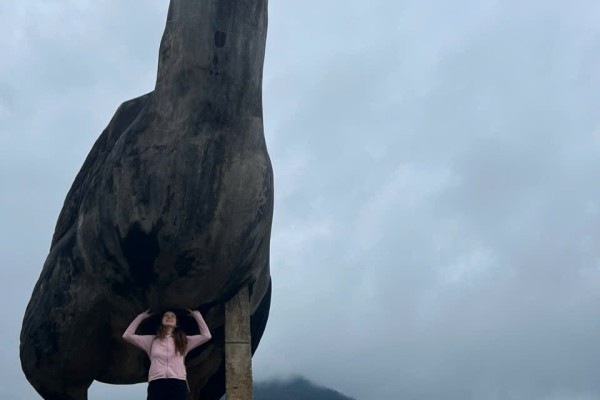 Vietnam from North to South: One Country, Countless Experiences