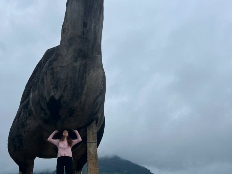 Vietnam from North to South: One Country, Countless Experiences