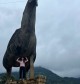 Vietnam from North to South: One Country, Countless Experiences