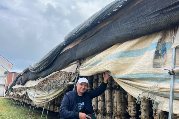 Vietnam by Road: Discovering the Country One Journey at a Time