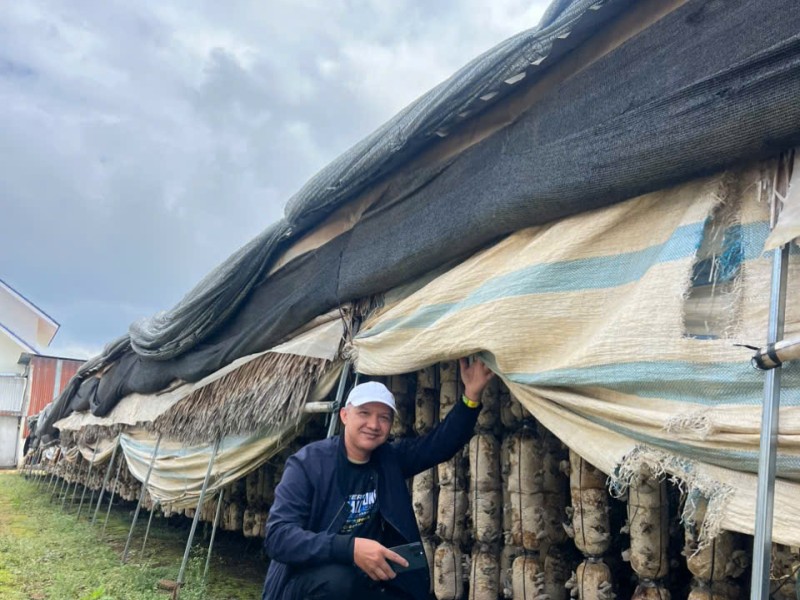 Vietnam by Road: Discovering the Country One Journey at a Time