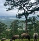 Vietnamese Roads at Sunrise: A Different Way to Experience the Country