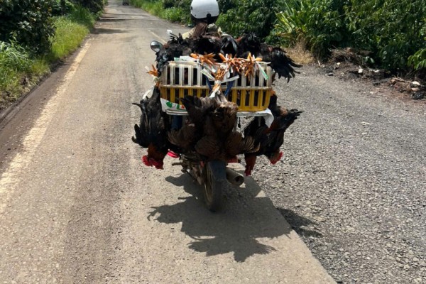 Discover Da Lat Beyond the City Center