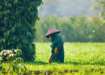 A Personal Experience of Da Lat