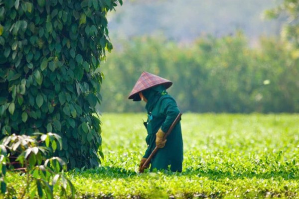 A Personal Experience of Da Lat