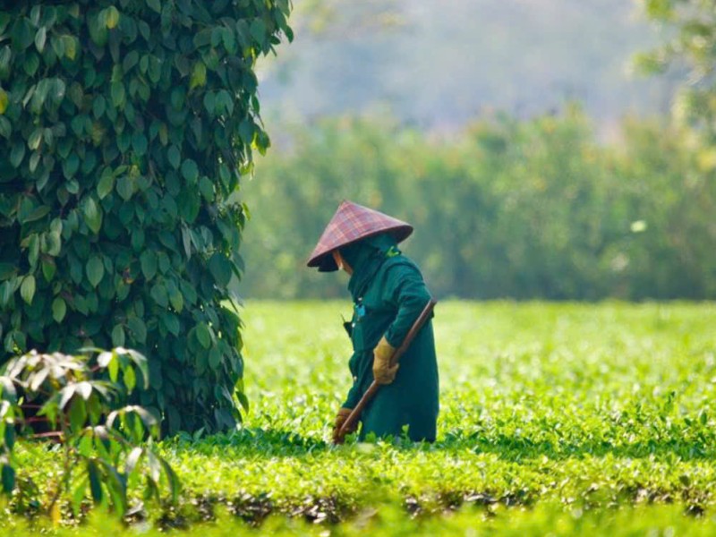 A Personal Experience of Da Lat