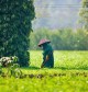 A Personal Experience of Da Lat